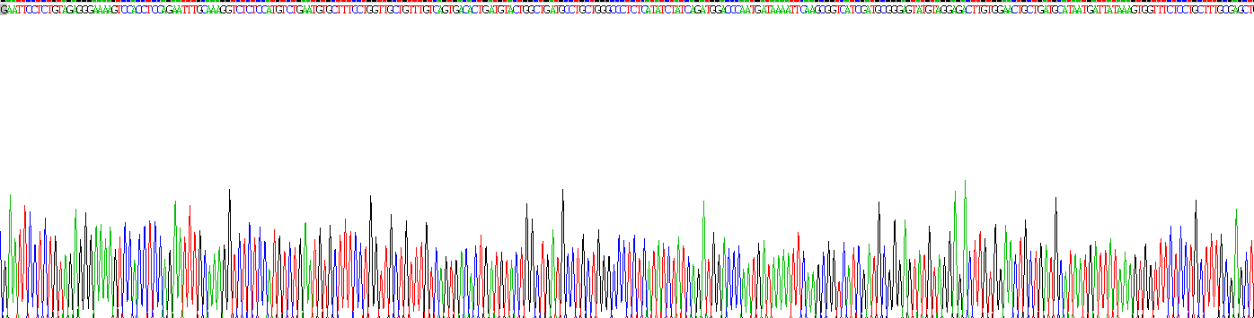 Recombinant Karyopherin Alpha 1 (KPNa1)