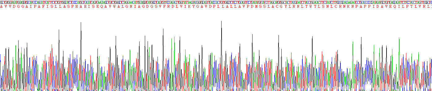 Recombinant Karyopherin Alpha 2 (KPNa2)