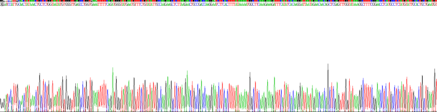 Recombinant Interleukin 23 Receptor (IL23R)