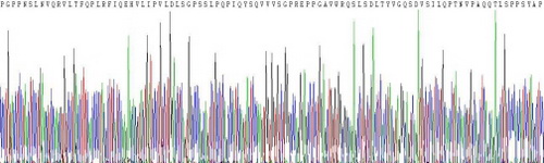 Recombinant Interleukin 22 Receptor (IL22R)