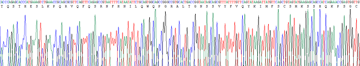 Recombinant Interleukin 22 Receptor Alpha 2 (IL22Ra2)