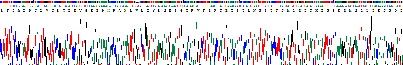 Recombinant Interleukin 20 Receptor Alpha (IL20Ra)