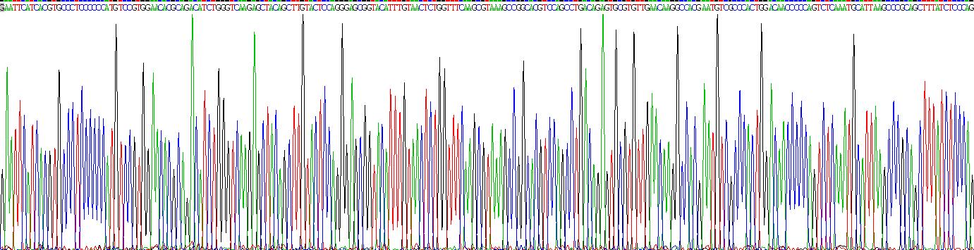 Recombinant Interleukin 15 Receptor Alpha (IL15Ra)