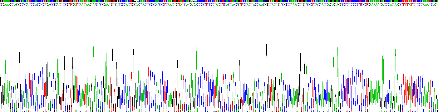 Recombinant Interleukin 15 Receptor Alpha (IL15Ra)