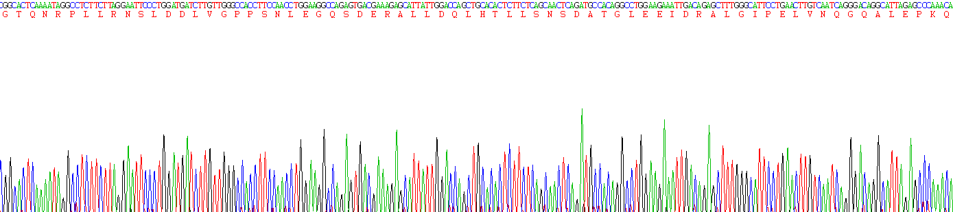 Recombinant Nuclear Receptor Coactivator 3 (NCOA3)