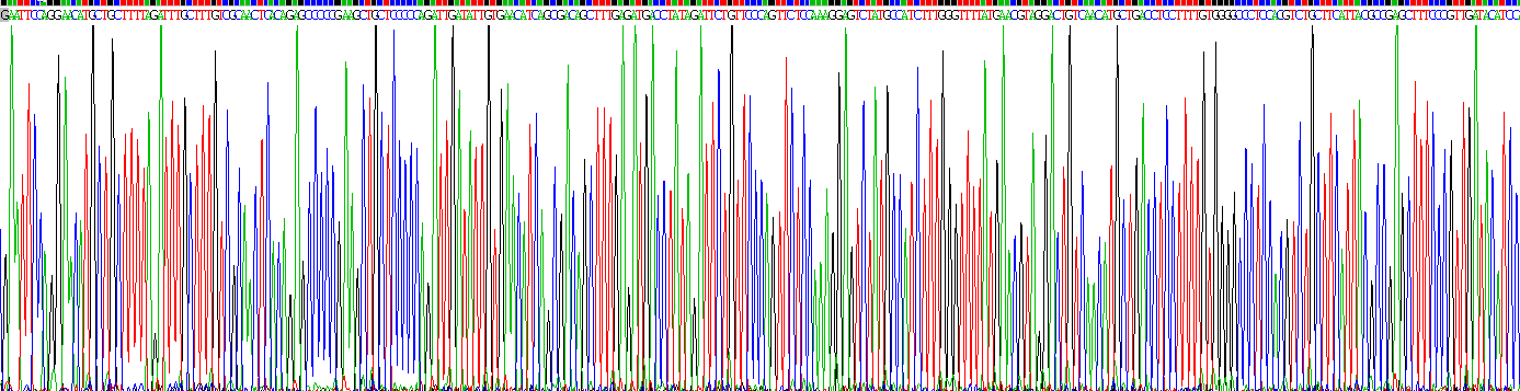 Recombinant Glutamate Receptor, Ionotropic, AMPA 1 (GRIA1)