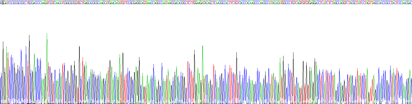 Recombinant Glutamate Receptor, Ionotropic, N-Methyl-D-Aspartate 1 (GRIN1)