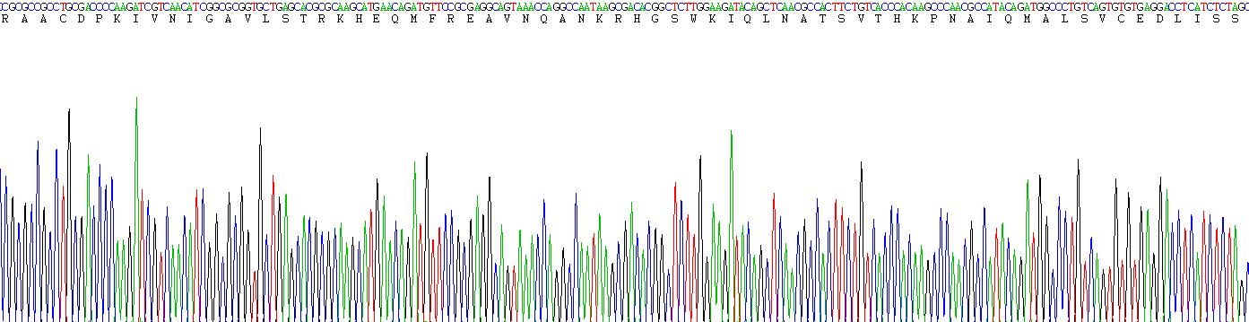 Recombinant Glutamate Receptor, Ionotropic, N-Methyl-D-Aspartate 1 (GRIN1)