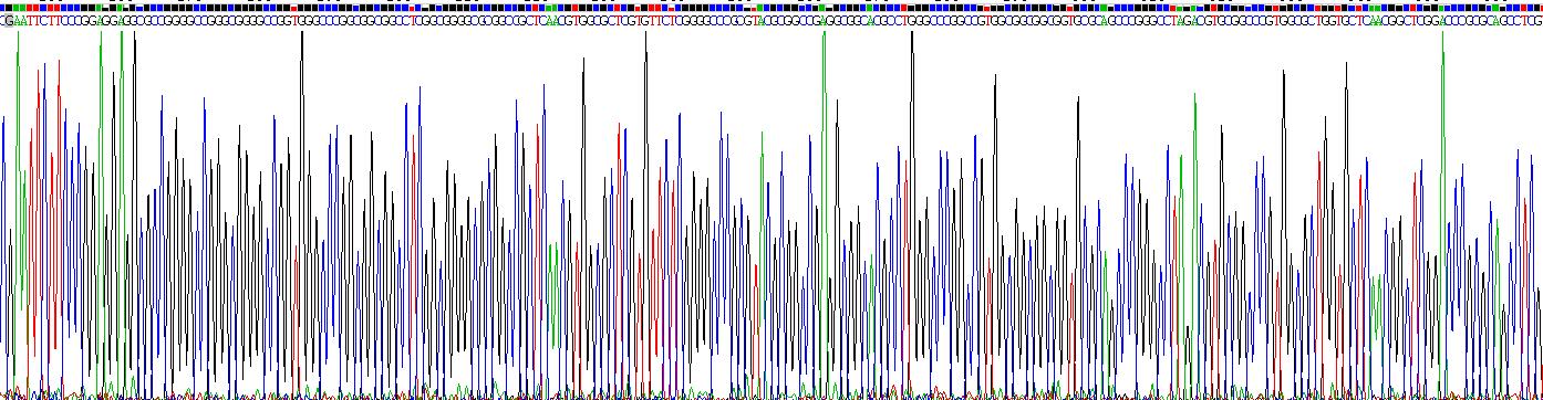 Recombinant Glutamate Receptor, Ionotropic, N-Methyl-D-Aspartate 2D (GRIN2D)