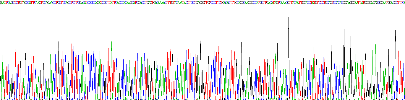 Recombinant Glutamate Receptor, Metabotropic 1 (GRM1)