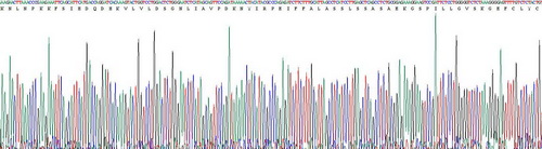 Recombinant Interleukin 1 Zeta (IL1z)