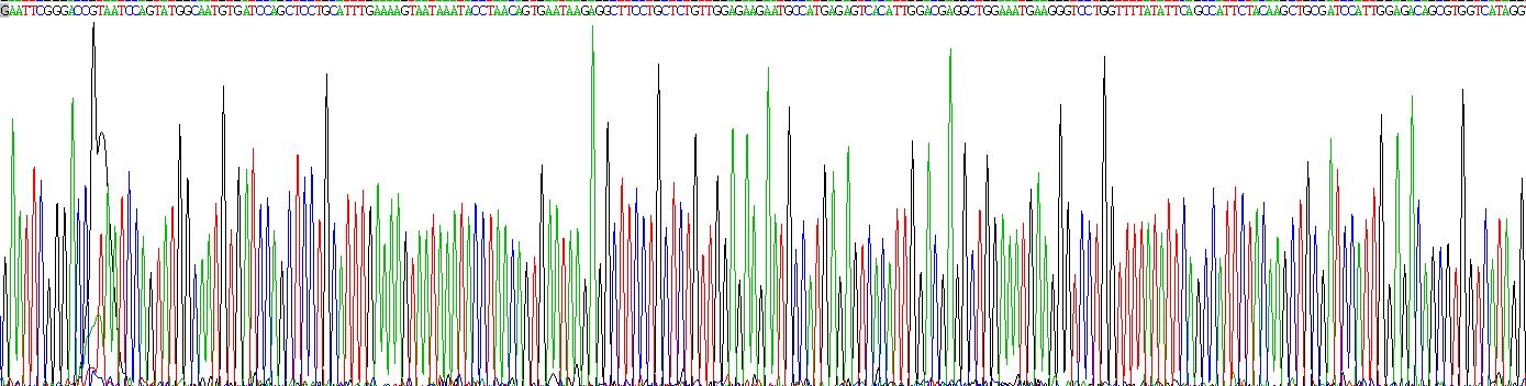 Recombinant Inositol-1,4,5-Trisphosphate Receptor Type 1 (ITPR1)