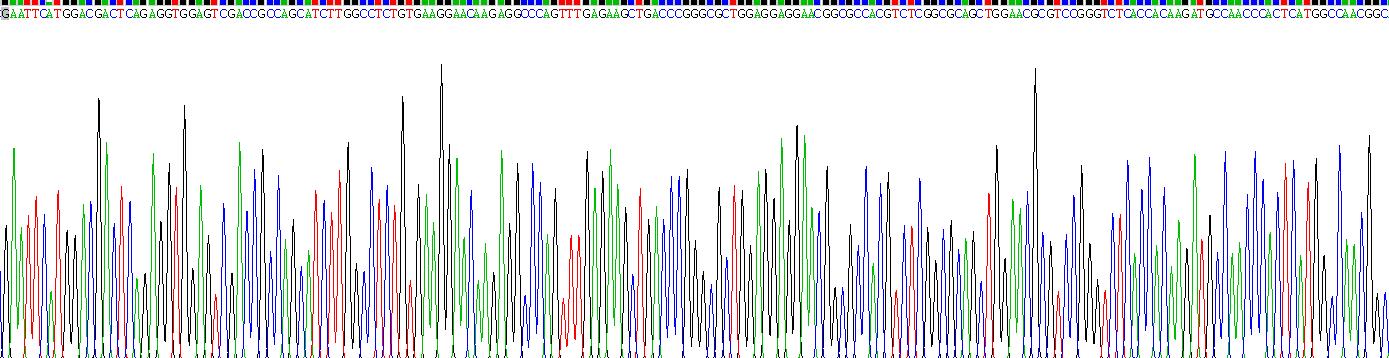 Recombinant Catenin Delta 1 (CTNNd1)