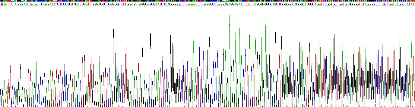 Recombinant Histone Deacetylase 6 (HDAC6)