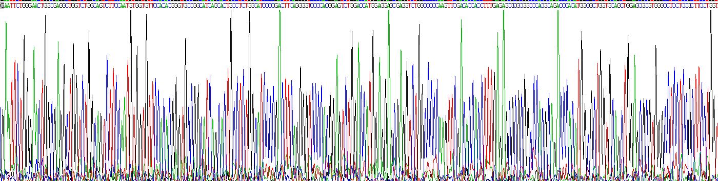 Recombinant Sirtuin 6 (SIRT6)