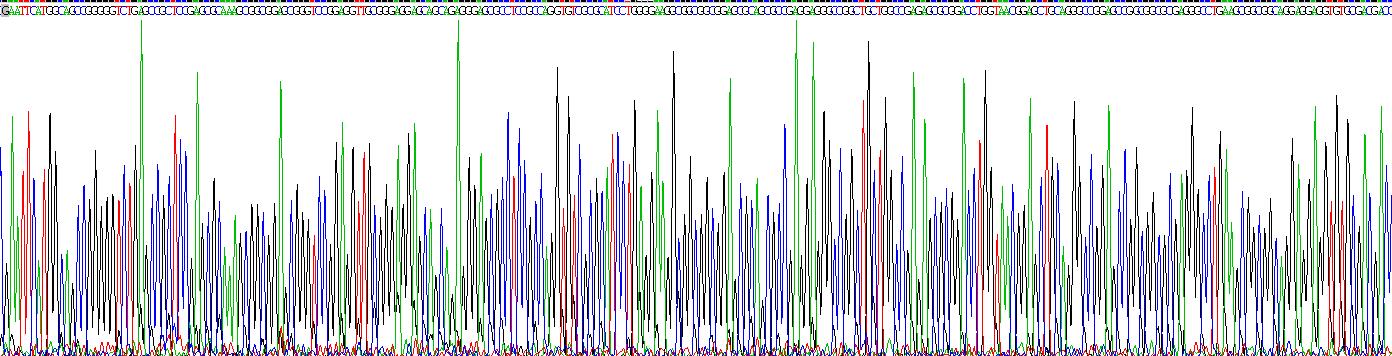 Recombinant Sirtuin 7 (SIRT7)