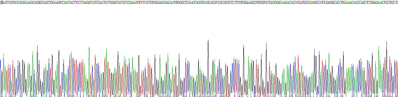 Recombinant Ribosomal Protein, Large, P0 (RPLP0)