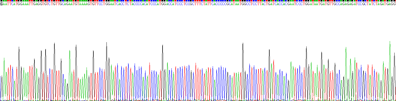 Recombinant A Kinase Anchor Protein 2 (AKAP2)