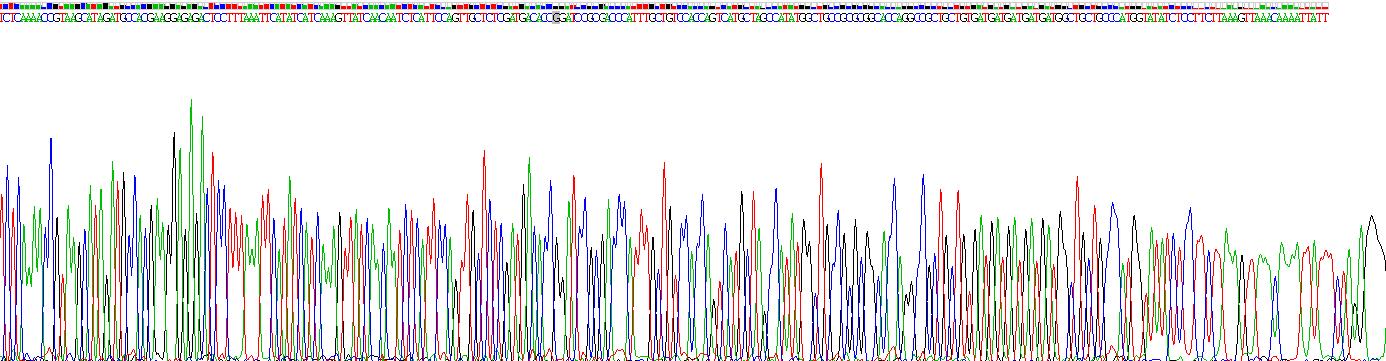 Recombinant Eukaryotic Translation Initiation Factor 4A2 (EIF4A2)