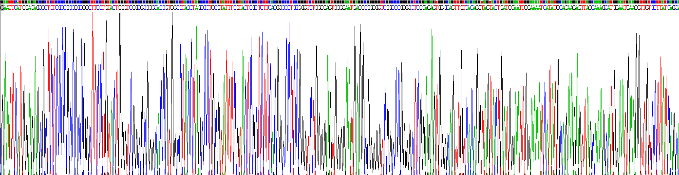 Recombinant 17-Beta-Hydroxysteroid Dehydrogenase Type 12 (HSD17b12)