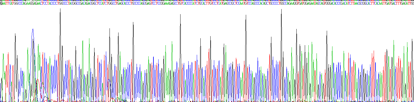 Recombinant Aurora Kinase B (AURKB)