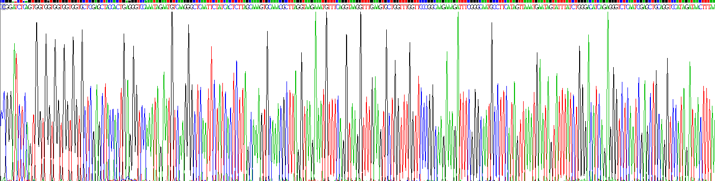 Recombinant Ectonucleotide Pyrophosphatase/Phosphodiesterase 1 (ENPP1)