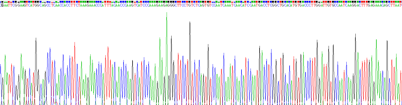 Recombinant Ectonucleotide Pyrophosphatase/Phosphodiesterase 1 (ENPP1)