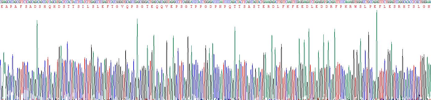 Recombinant Bestrophin 3 (BEST3)