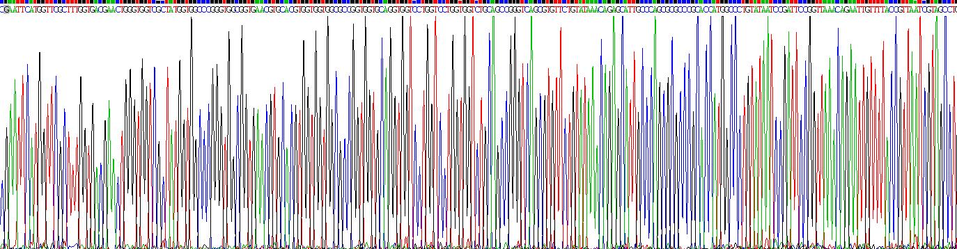 Recombinant Calcium Channel, Voltage Dependent, N-Type, Alpha 1B Subunit (CACNa1B)