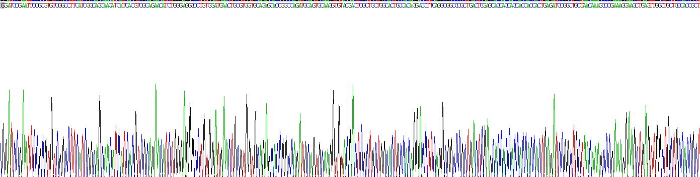 Recombinant Claudin 3 (CLDN3)