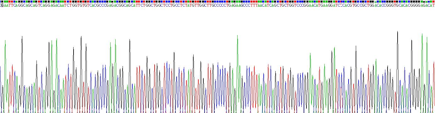 Recombinant Cytokine Receptor Like Factor 1 (CRLF1)