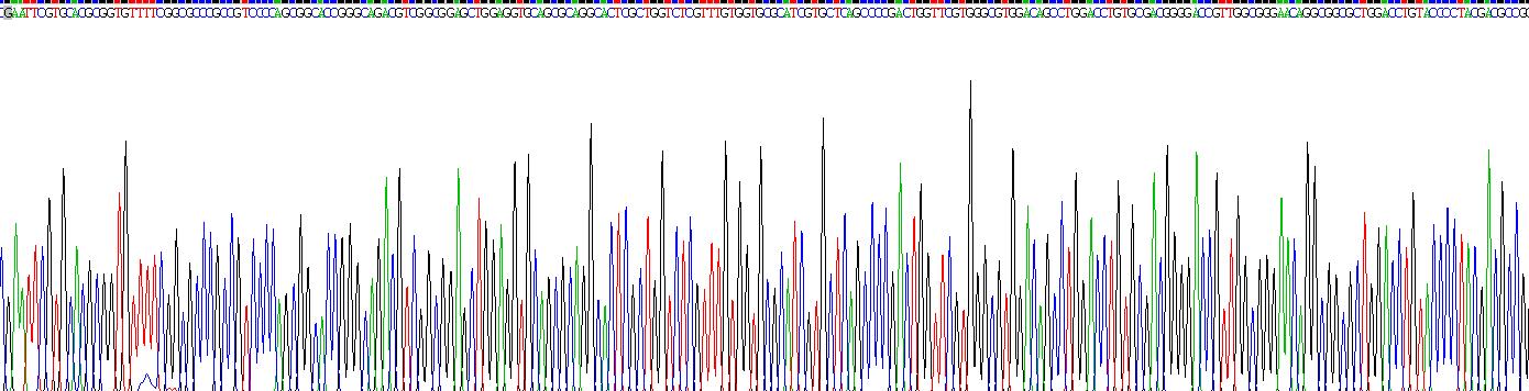 Recombinant Spondin 2 (SPON2)