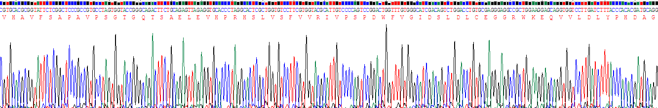 Recombinant Spondin 2 (SPON2)