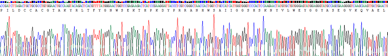 Recombinant Spondin 1 (SPON1)