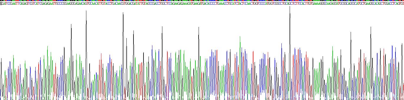 Recombinant Spondin 1 (SPON1)