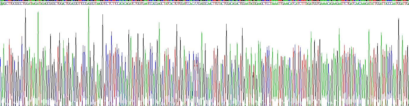 Recombinant Nidogen 2 (NID2)