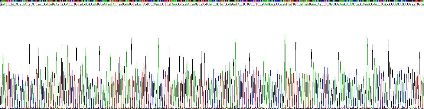 Recombinant Fibulin 3 (FBLN3)