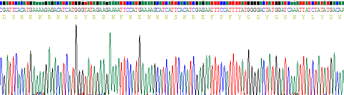 Recombinant Histatin 1 (HTN1)