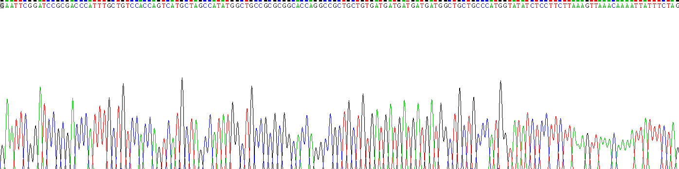 Recombinant Kinesin Family, Member 5A (KIF5A)