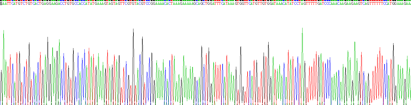 Recombinant Kinesin Family, Member 18A (KIF18A)