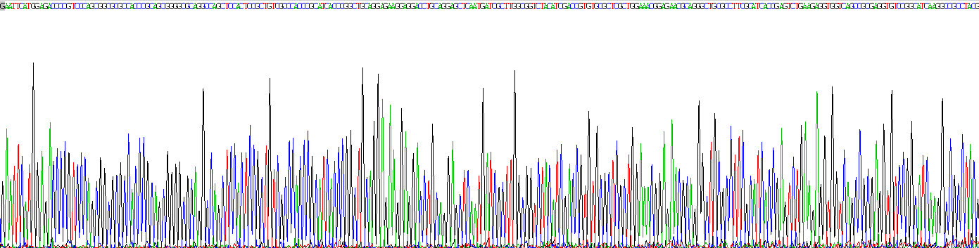 Recombinant Lamin A/C (LMNA)