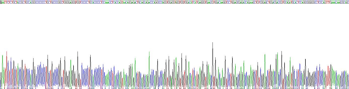 Recombinant Vesicle Associated Membrane Protein 2 (VAMP2)