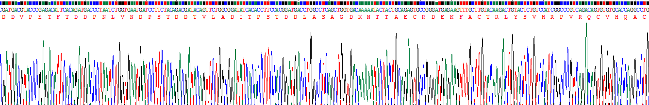 Recombinant Microfibrillar Associated Protein 5 (MFAP5)