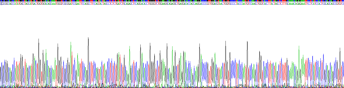 Recombinant Multimerin 2 (MMRN2)