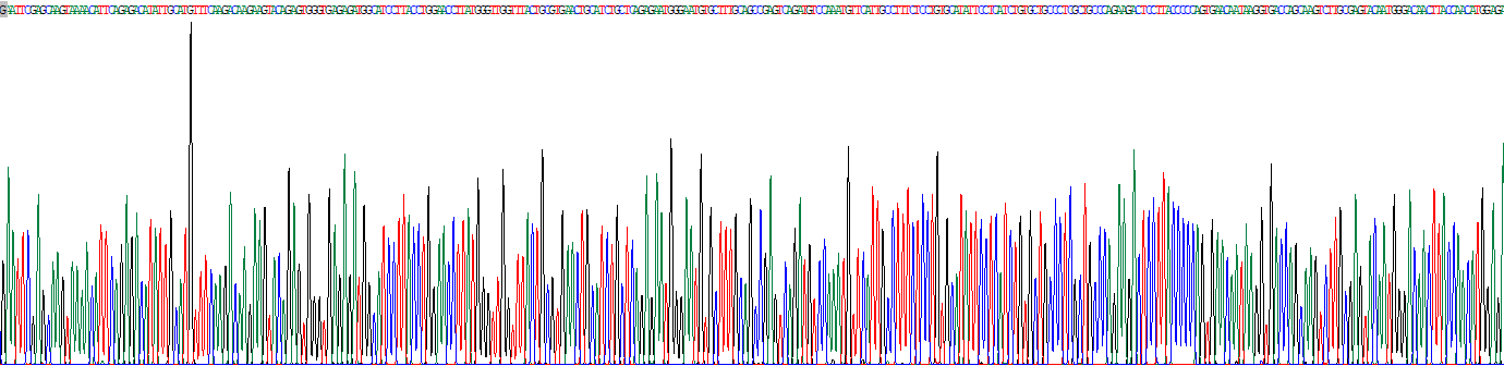 Recombinant Chordin Like Protein 1 (CHRDL1)