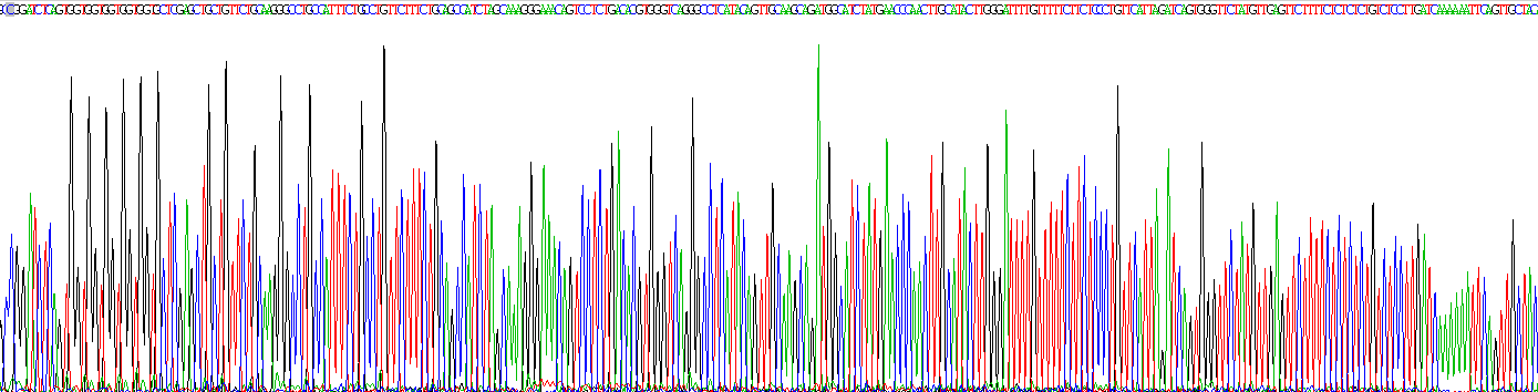 Recombinant Phosphodiesterase 5A, cGMP Specific (PDE5A)