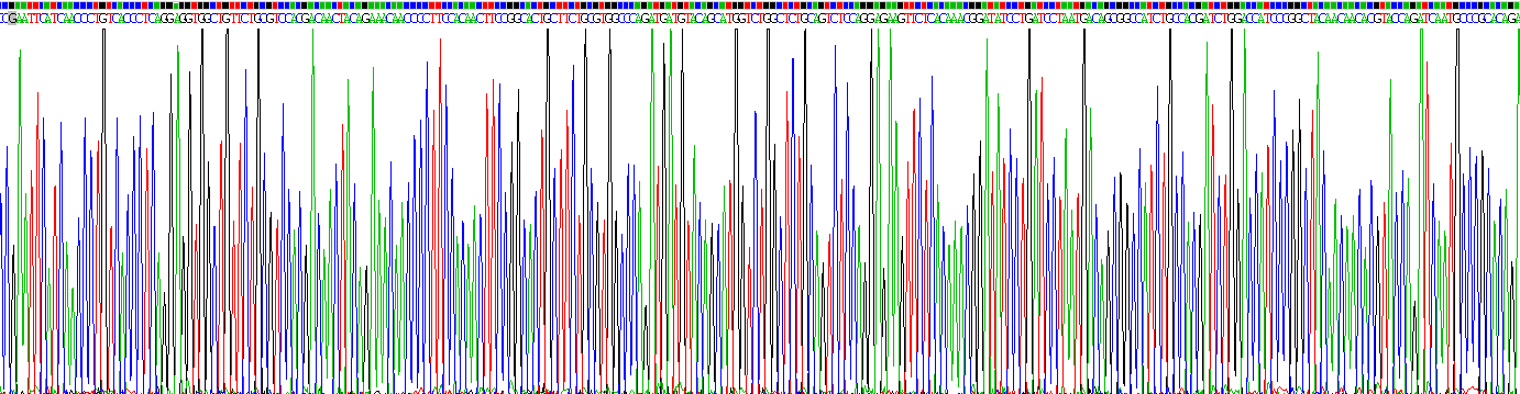 Recombinant Phosphodiesterase 9A (PDE9A)