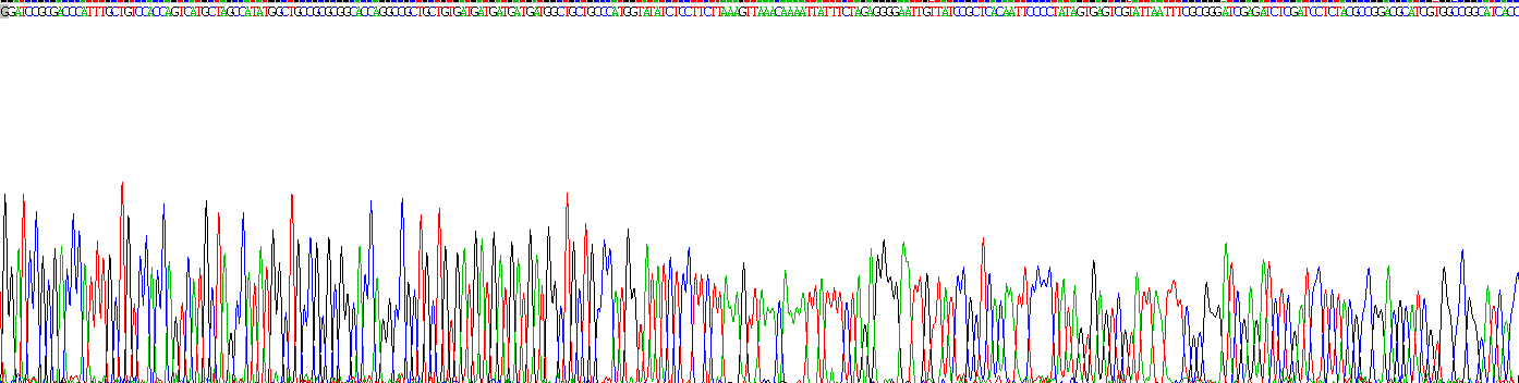 Recombinant Phosphodiesterase 4D Interacting Protein (PDE4DIP)