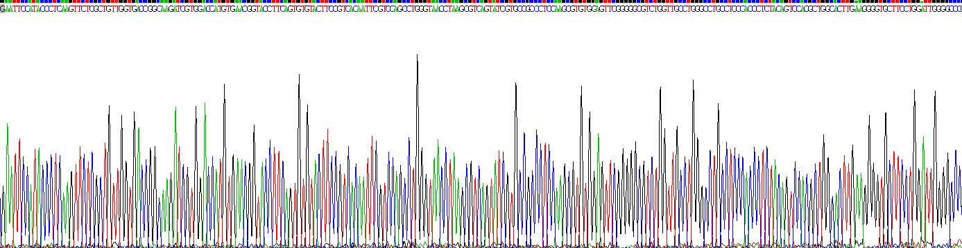 Recombinant Neurexophilin 4 (NXPH4)