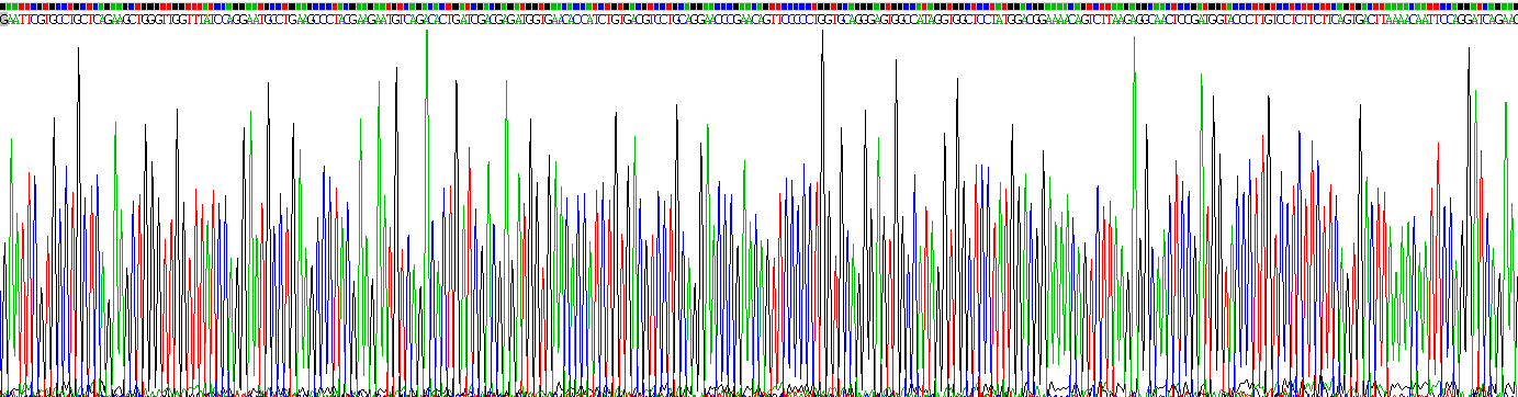 Recombinant 2',5'-Oligoadenylate Synthetase 2 (OAS2)